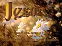 Lluvia